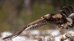 Take off