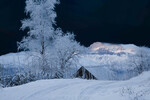 Winter wonderland 