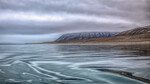 Parti fra Isfjorden, Svalbard
