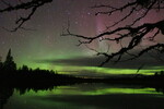 Aurora i Trysil