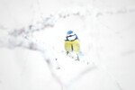 Blåmeis whiteout