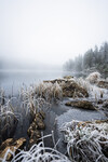 Frost