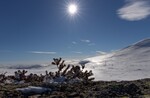 Påskestmning på fjellet