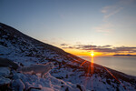 Fjellrev i lav oktober sol