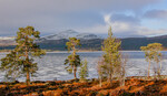 Høst ved Galtsjøen.
