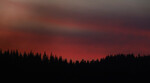 Kveldslys i Nordmarka