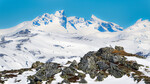 I Fjellrypesteggens rike.