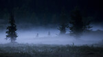 Sommernatt