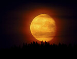 Golden Moon Rising