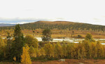  Høst i Rendalen.