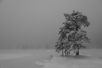 Vinter på Stølevann