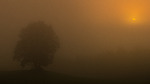 Morgenstund