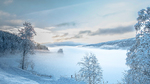 Winter wonderland