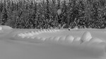 Snø vinter.
