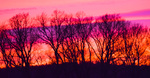 Solnedgang 