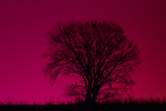 colorfull