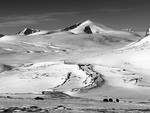 Enige og tro inntil Dovre faller❤️