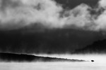 Fjæreplytt i flammehav
