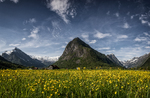 Fjærland