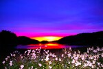 Solnedgang 