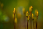Be Different - Be Unique - Be Yourself