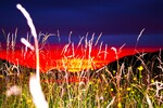 Solnedgang 