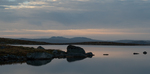 Morgenlys på Hardangervidda