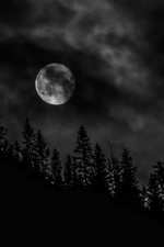 Cry wolf