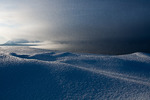Frost