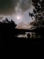 Kvelddstemning på Hellesøy. 