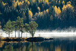 Høstmorgen