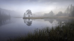Morgenstund i tåka
