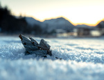 Frostmorgen