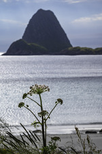 Humla og Havet