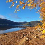 Høst ved Byglandsfjorden.