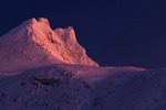 Alpeglød