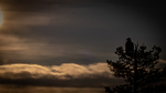 Early morning