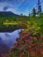 Sensommeren i fjellet