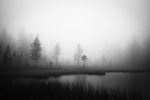 Der nøkken bor