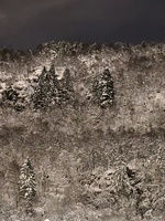Vinter