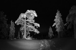 Skitur i vinternatten