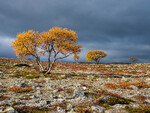 Høstfjell
