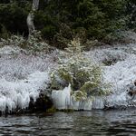 Naturens egen kunst