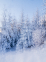 Snowfall