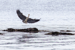 Klar for Landing