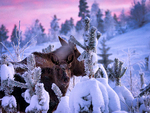 Winterstemning