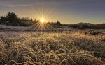 Frostmorgen
