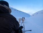 Freedom Svalbard