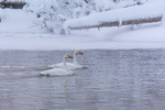 Vinter i Begna