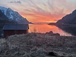 Ildtunge